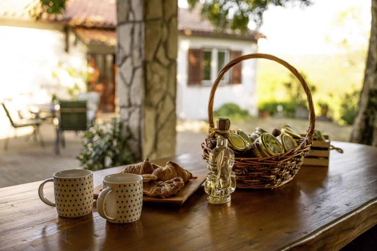 Roza In Sveti Bartol Villa Labin  Esterno foto